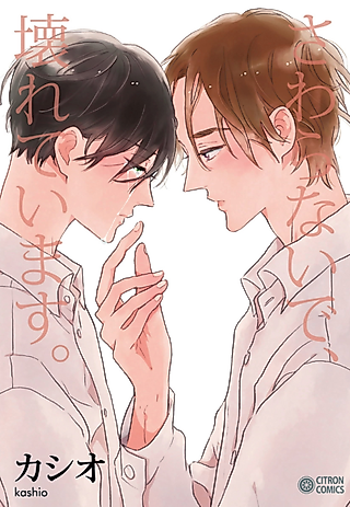 Cover image for the manga called Don't Touch, It Will Break