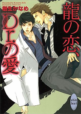 Cover image for the novel called Ryuu no Hobaku, Dr. no Aikago