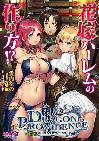 Cover image for the novel called Shousetsu Dragon Providence: Hanayome Harem no Tsukurikata!?