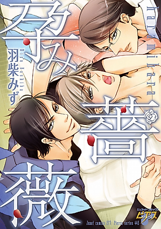 Cover image for the manga called Wasou Kareshi no Omiai Jijou