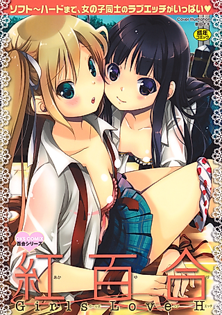 Cover image for the manga called Borderline Virgin