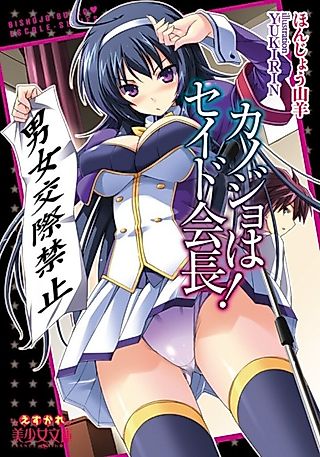 Cover image for the novel called Kanojo wa Seido Kaichou!