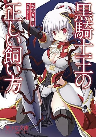 Cover image for the novel called Kurokishi Ou no Tadashi Kaikata
