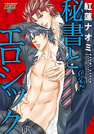 Cover image for the manga called Ero Sick Secretary
