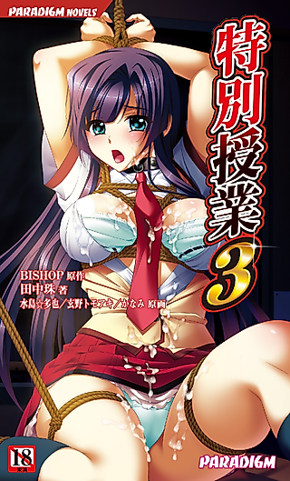 Cover image for the novel called Tokubetsu Jugyou 3