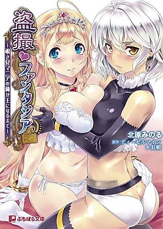 Cover image for the novel called Tousatsu Fantasia: Nozokimi Mania no Ore ga Ou ni Naru made