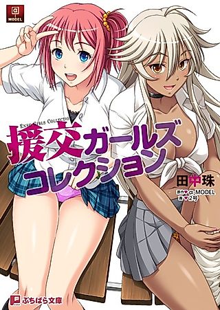 Cover image for the novel called Enkou Girls Collection
