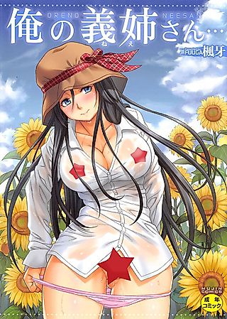 Cover image for the manga called Ore no Nee-san...