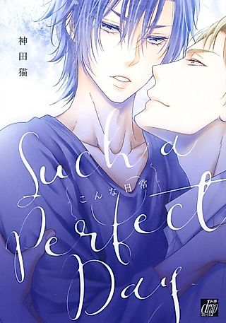 Cover image for the manga called Such a Perfect Day