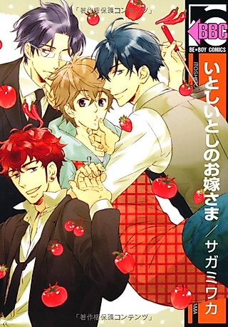 Cover image for the manga called Itoshii Toshi no Oyomesama