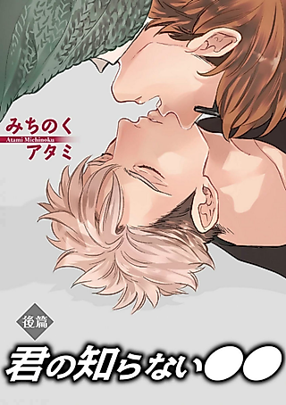 Cover image for the manga called Kimi no Shiranai XX
