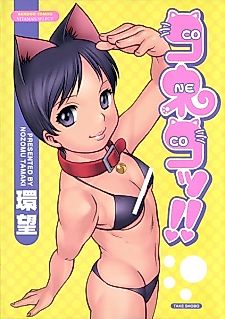 Cover image for the manga called Koneko!!