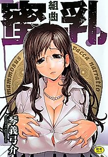 Cover image for the manga called Musical Suite Honey Breasts