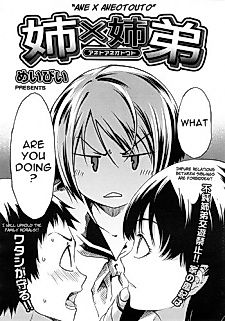 Cover image for the manga called Ane to Aneotouto