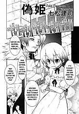 Cover image for the manga called Fake Princess