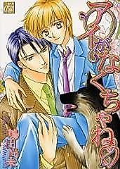 Cover image for the manga called Ai ga Nakuchane