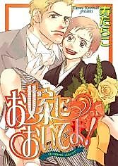 Cover image for the manga called Aiyoku no Hibi
