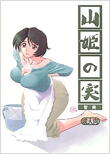 Cover image for the manga called Yama Hime no Mi Satomi After
