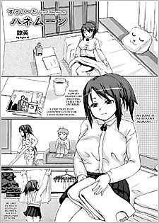 Cover image for the manga called Sweet Honeymoon