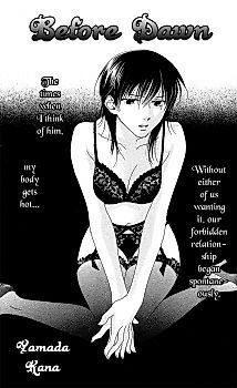 Cover image for the manga called Yoakemae