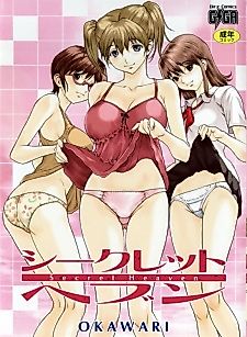Cover image for the manga called Secret Heaven (OKAWARI)