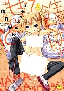Cover image for the manga called Christmas Twins