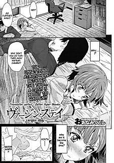 Cover image for the manga called Virgin Stay