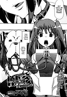 Cover image for the manga called Beast Rape Training