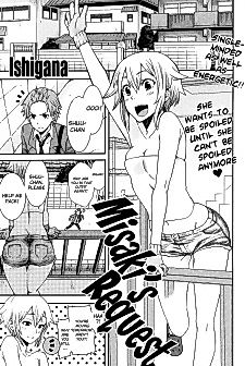Cover image for the manga called Misaki's Request