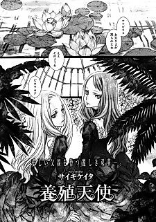 Cover image for the manga called Youshoku Tenshi