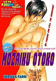 Cover image for the manga called Mosaic Man