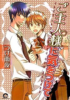 Cover image for the manga called Goshujinsama ni Kiwotsukete