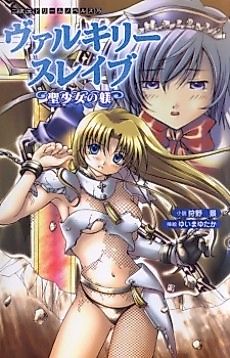 Cover image for the novel called Valkyrie Slave: Holy Maiden's Training