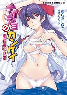 Cover image for the novel called Naisho no Kankei: Iinchou no Himitsu