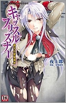 Cover image for the novel called Castle Prisoner Mesushoukou Reizoku Choukyou