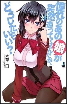 Cover image for the novel called Akogare no Anoko ga Totsuzen Sematte Kurunda ga, Doushitara Ii?