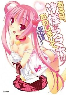 Cover image for the novel called Aruhi, Kamisama ga Smartphone ni Owashimashite