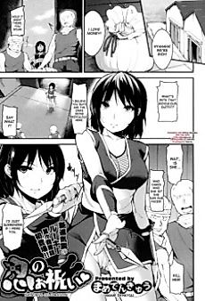 Cover image for the manga called Shinobi's Celebration