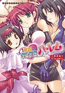 Cover image for the novel called Kaitou Oshioki Harem