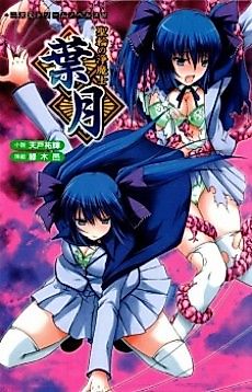 Cover image for the novel called Seirin no Joumashi Hazuki