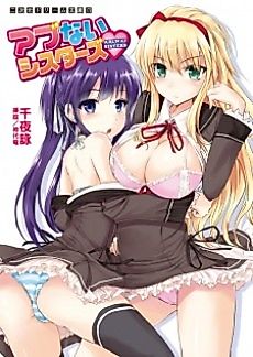 Cover image for the novel called Abunai Sisters