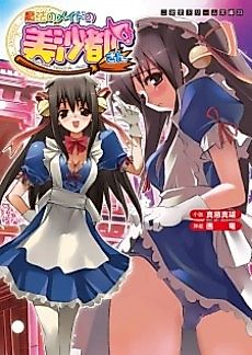 Cover image for the novel called Misato of magical maid
