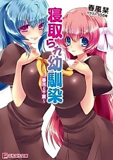 Cover image for the novel called Netorare Osananajimi: Haruka to Chika