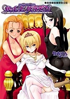 Cover image for the novel called Harem Paladin