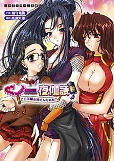 Cover image for the novel called Kunoichi Yotogibanashi: Kono Inrou ga Me ni Iranu ka?