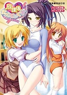 Cover image for the novel called After School Tactics
