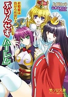 Cover image for the novel called Princess Harem: Ohimesama wa Makerarenai!