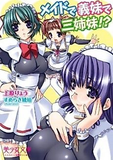 Cover image for the novel called Maid de, Gimai de, Sanshimai!?