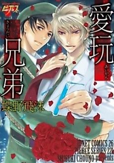 Cover image for the manga called Aigan Kyoudai