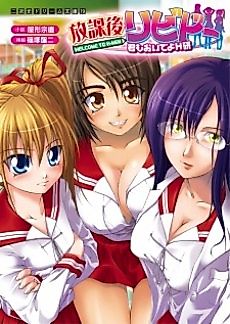 Cover image for the novel called Welcome to H-Ken